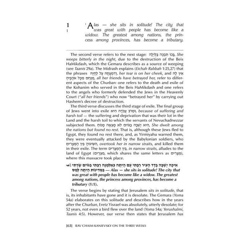 Rav Chaim Kanievsky on the Three Weeks | Books | Judaica