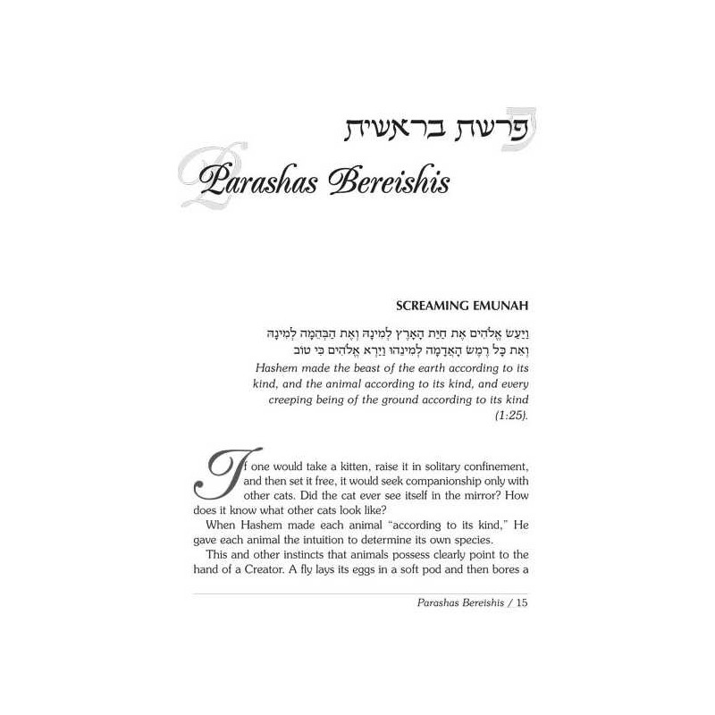 Rav Wolbe on Chumash Volume 2 | Books | Judaica