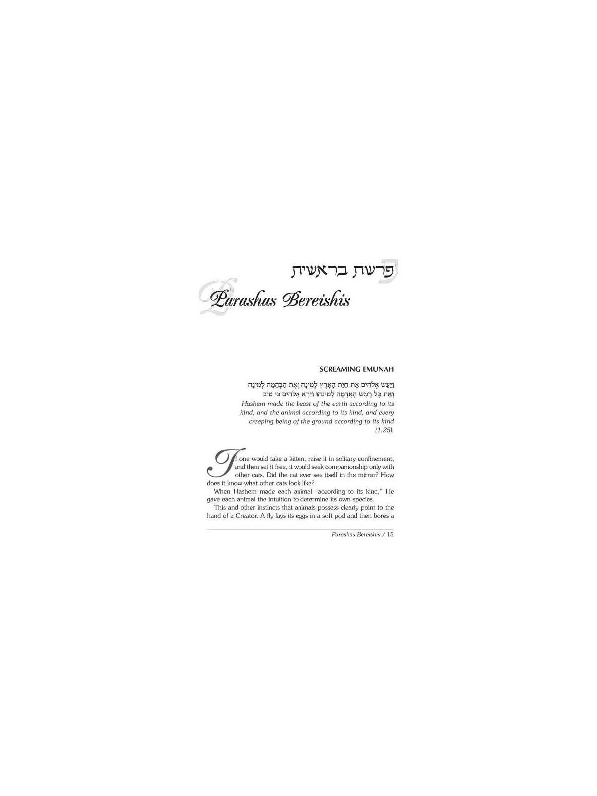 Rav Wolbe on Chumash Volume 2 | Books | Judaica