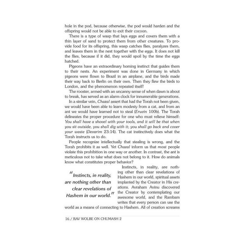 Rav Wolbe on Chumash Volume 2 | Books | Judaica