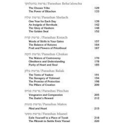 Rav Asher Weiss Parashah Vayikra/Bamidbar/Devarim | Books | Judaica