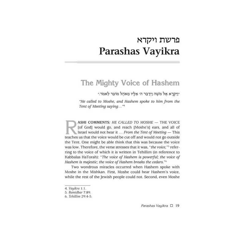Rav Asher Weiss Parashah Vayikra/Bamidbar/Devarim | Books | Judaica