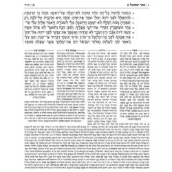 Rubin Ed. Early Prophets Samuel 2 Pocket Size | Books | Judaica