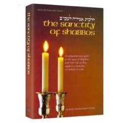 The Sanctity Of Shabbos - Hardcover | Books | Judaica