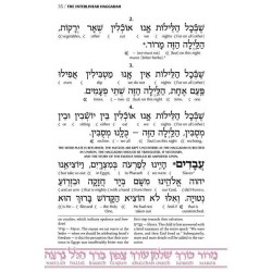 Schottenstein Ed Interlinear Haggadah - Hardcover | Passover | Judaica