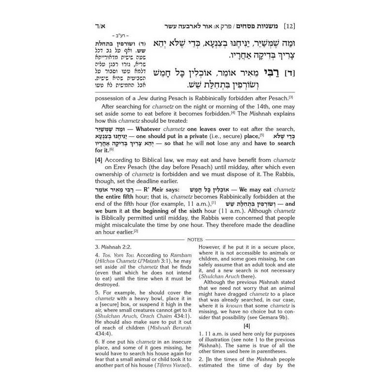 Schottenstein Ed. Mishnah Elucidated Gryfe Ed Sede | Books | Judaica