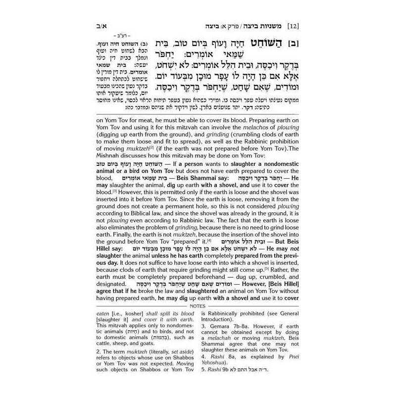 Schottenstein Ed. Mishnah Elucidated Gryfe Ed Sede | Books | Judaica