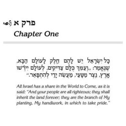 Sforno on Pirkei Avos - Hardcover | Books | Judaica