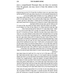 The Shabbos Home Volume 2 - Hardcover | Books | Judaica