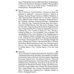 The Shabbos Home Volume 2 - Hardcover | Books | Judaica