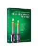 The Shabbos Home - Hardcover | Books | Judaica