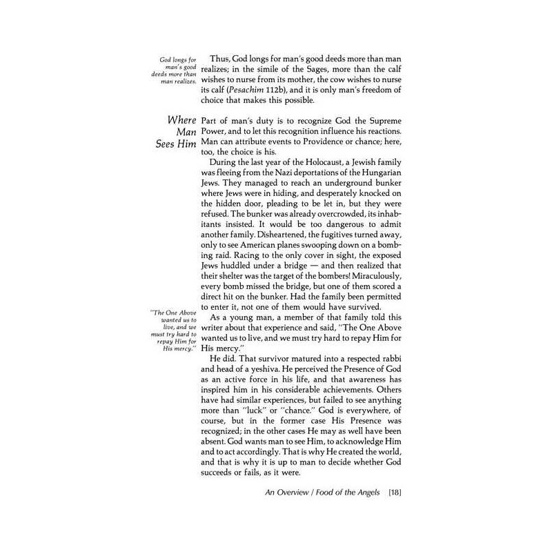 Shavuos: Its Observance, Laws, And Significance | Books | Judaica