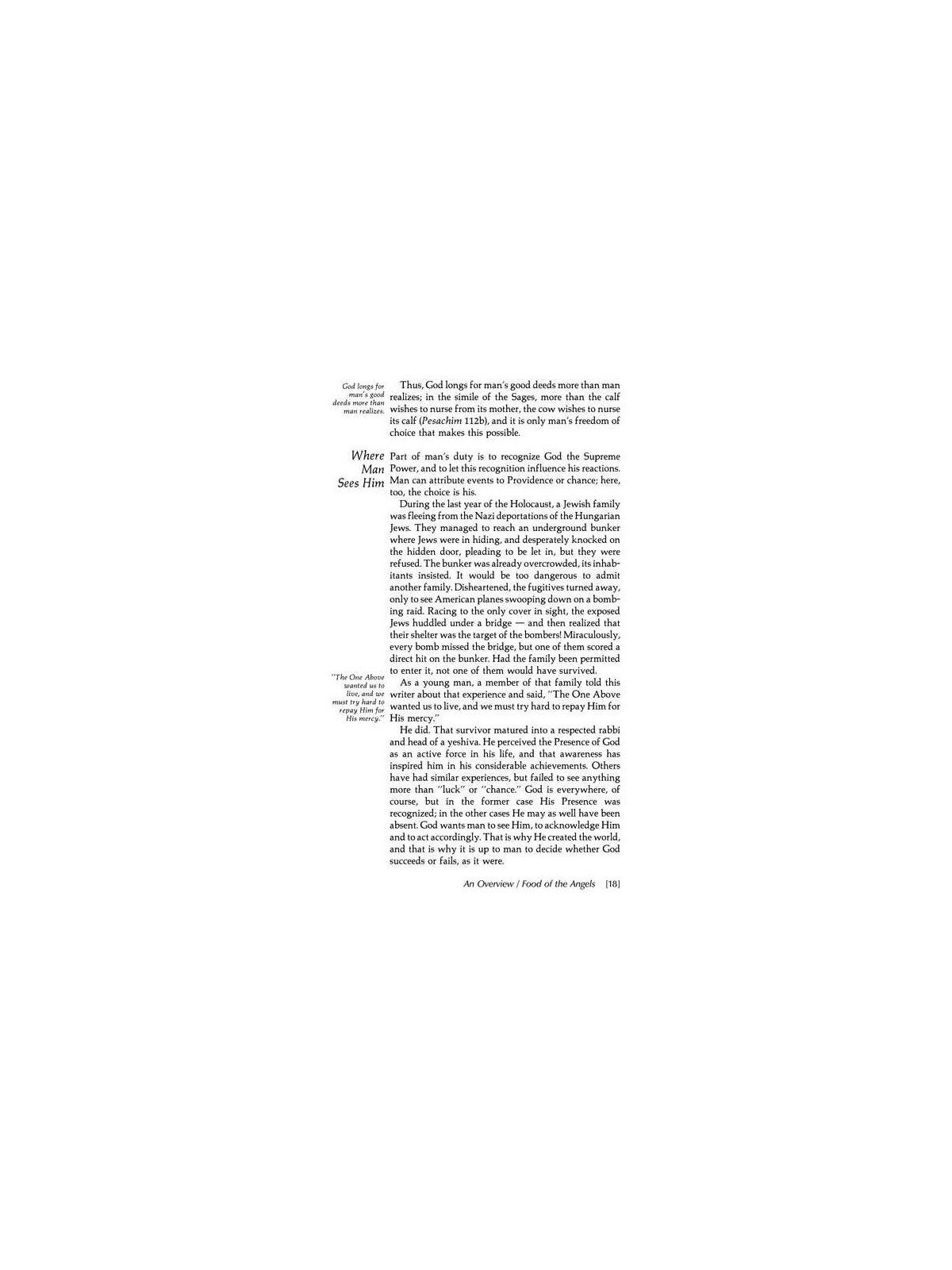 Shavuos: Its Observance, Laws, And Significance | Books | Judaica