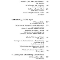 Shidduchim Shalom Bayis Beyond - Hardcover | Books | Judaica