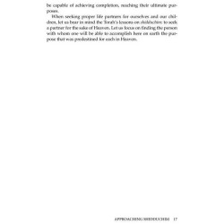 Shidduchim Shalom Bayis Beyond - Hardcover | Books | Judaica