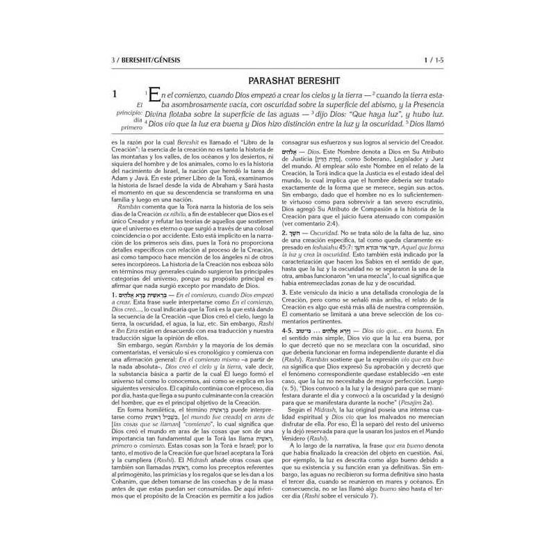 Rabbi Sion Levy Edition of the Chumash in Spanish | Books | Judaica