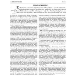 Rabbi Sion Levy Edition of the Chumash in Spanish  | Books | Judaica