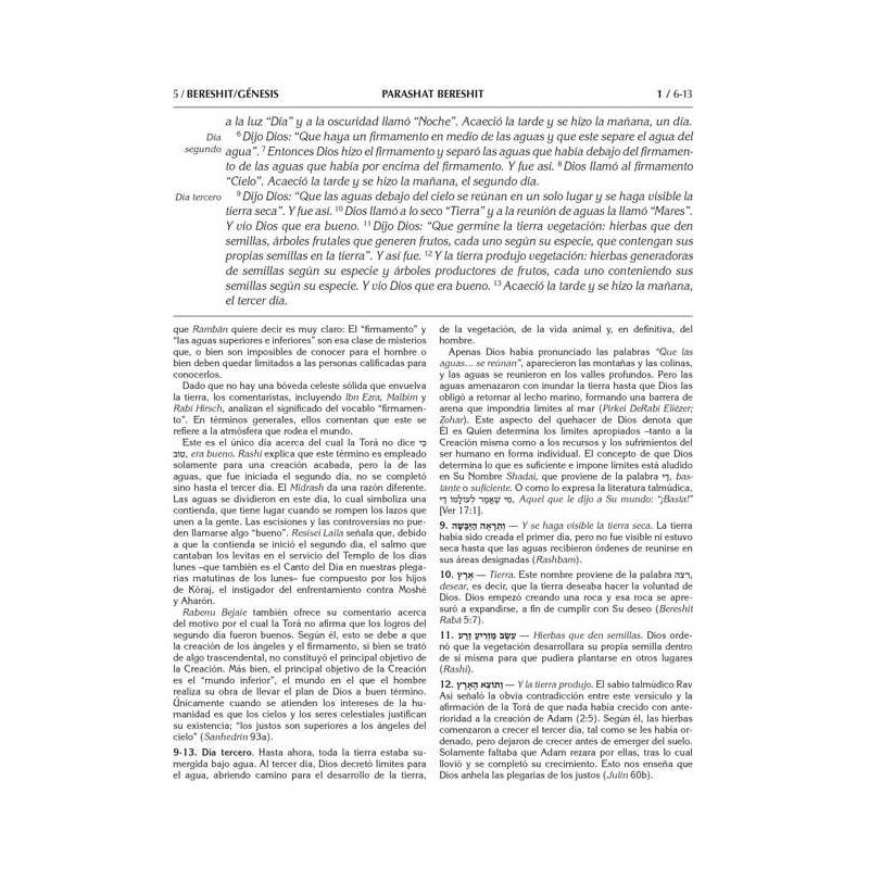 Rabbi Sion Levy Edition of the Chumash in Spanish  | Books | Judaica