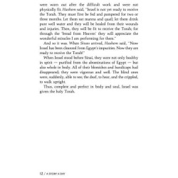 A Story A Day: 5 - Sivan - Tammuz | Books | Judaica