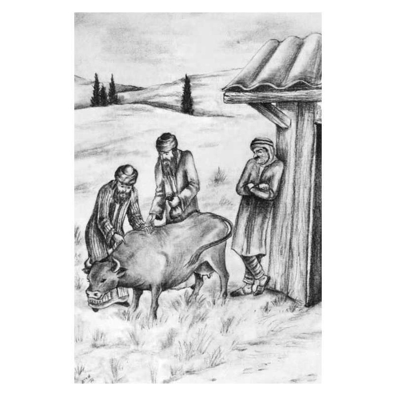 A Story A Day: 4 - Nissan - Iyar | Books | Judaica