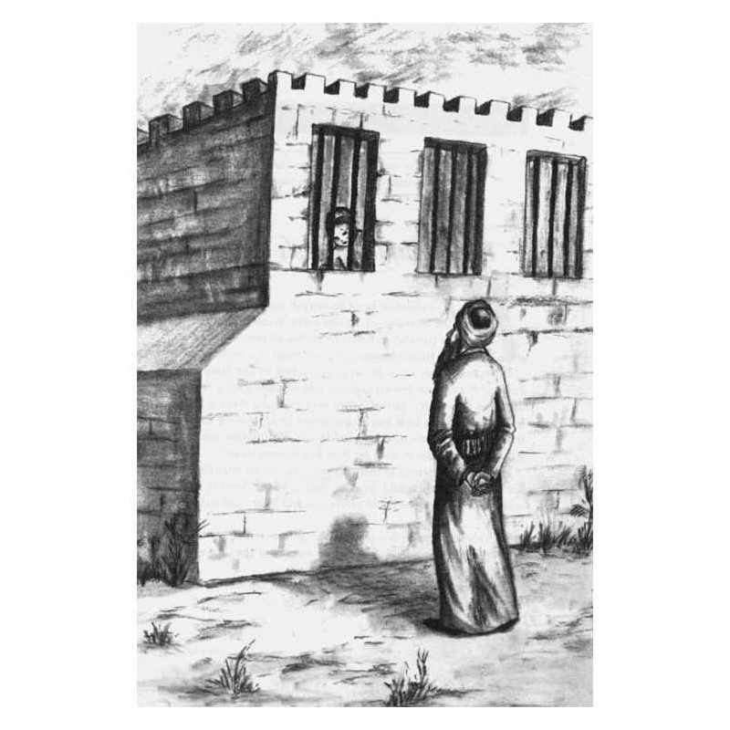 A Story A Day: 6 - Av - Elul - Hardcover | Books | Judaica