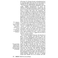 Succos [Holiday Series] Hardcover | Books | Judaica