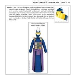 Schottenstein Edition Sefer Hachinuch / Book of Mi | Books | Judaica