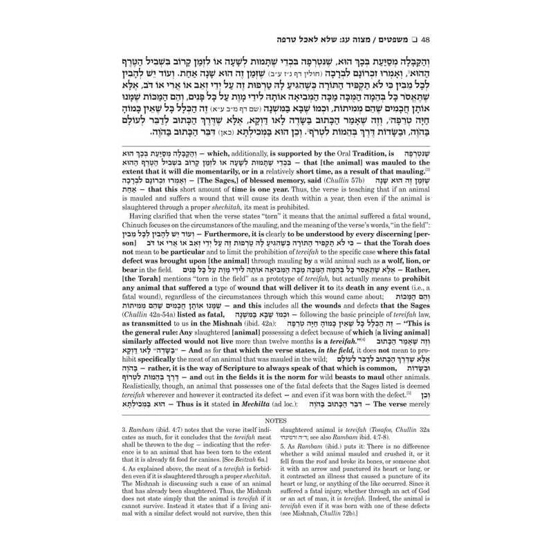 Schottenstein Edition Sefer Hachinuch / Book of Mi | Books | Judaica