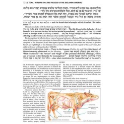 Schottenstein Edition Sefer Hachinuch / Book of Mi | Books | Judaica