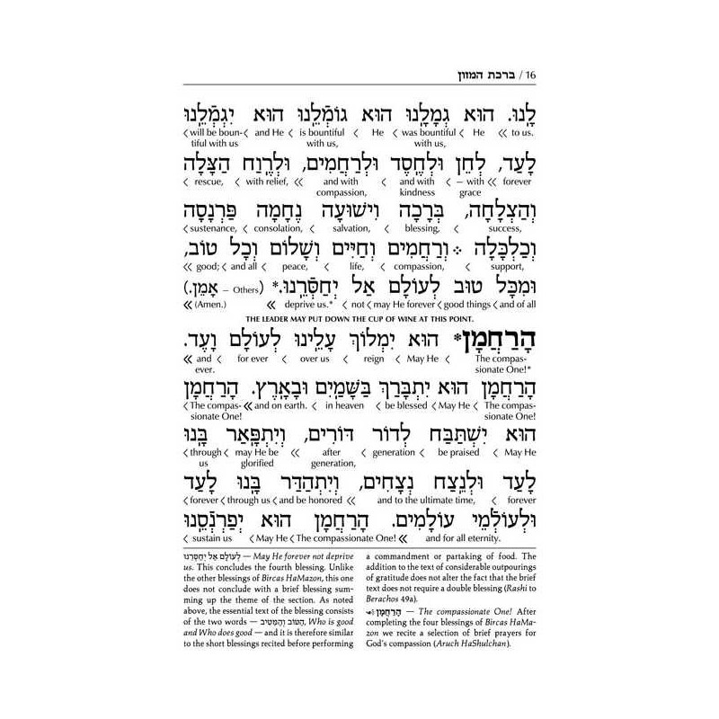 Schottenstein Edition Interlinear Birchon - White  | Books | Judaica