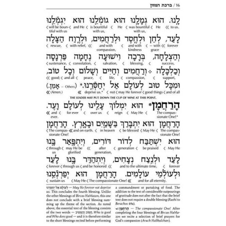 Schottenstein Edition Interlinear Birchon - White  | Books | Judaica