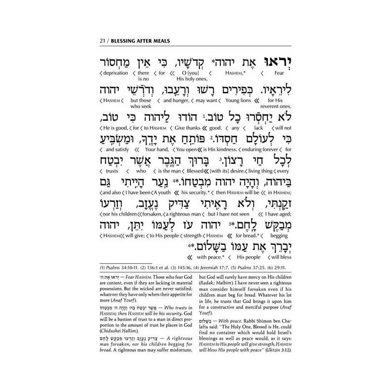 Schottenstein Edition Interlinear Birchon - White  | Books | Judaica