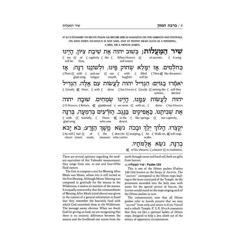 Schottenstein Edition Interlinear Birchon - White  | Books | Judaica