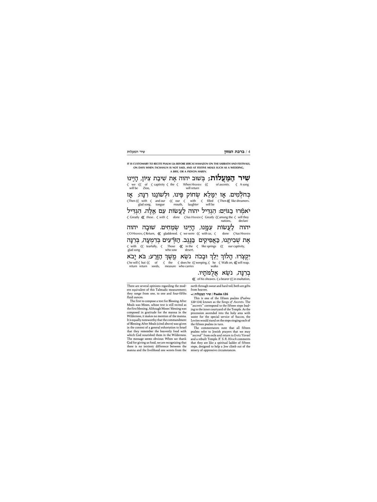Schottenstein Edition Interlinear Birchon - White  | Books | Judaica