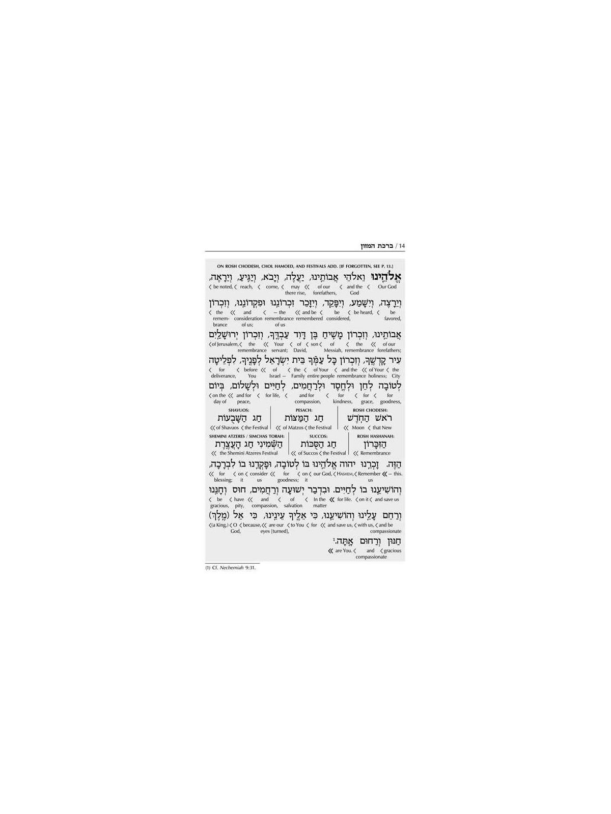 Schottenstein Edition Interlinear Birchon - White  | Books | Judaica