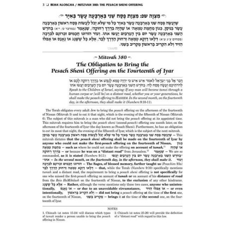 Schottenstein Edition Sefer Hachinuch / Book of Mi | Books | Judaica