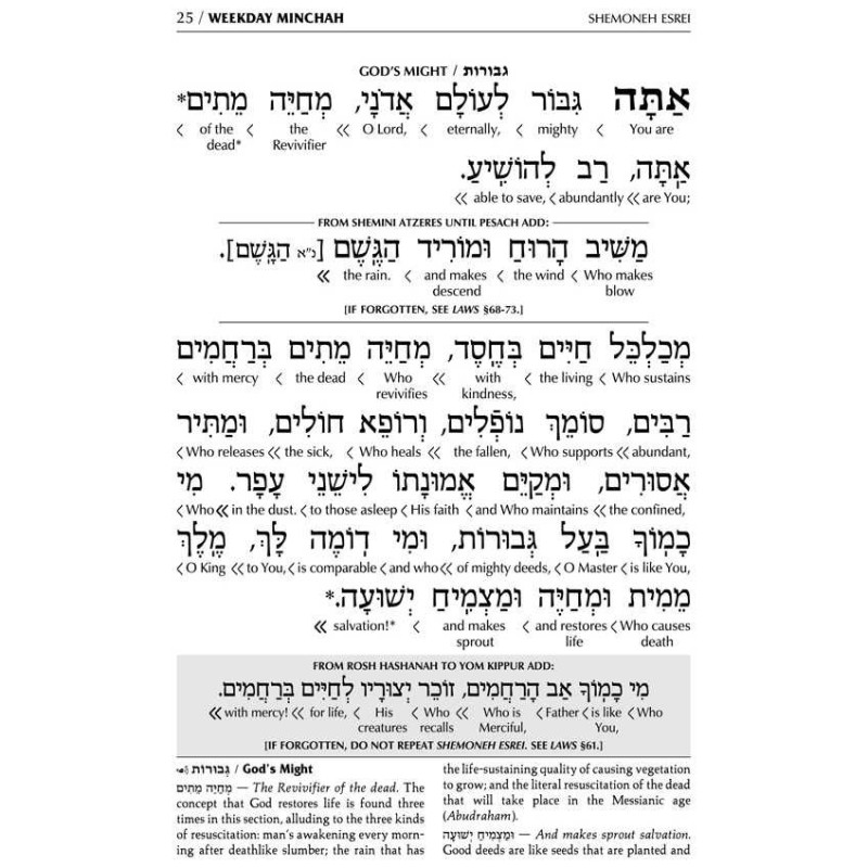 Interlinear Sabbath & Festivals Siddur Full Size A | Books | Judaica