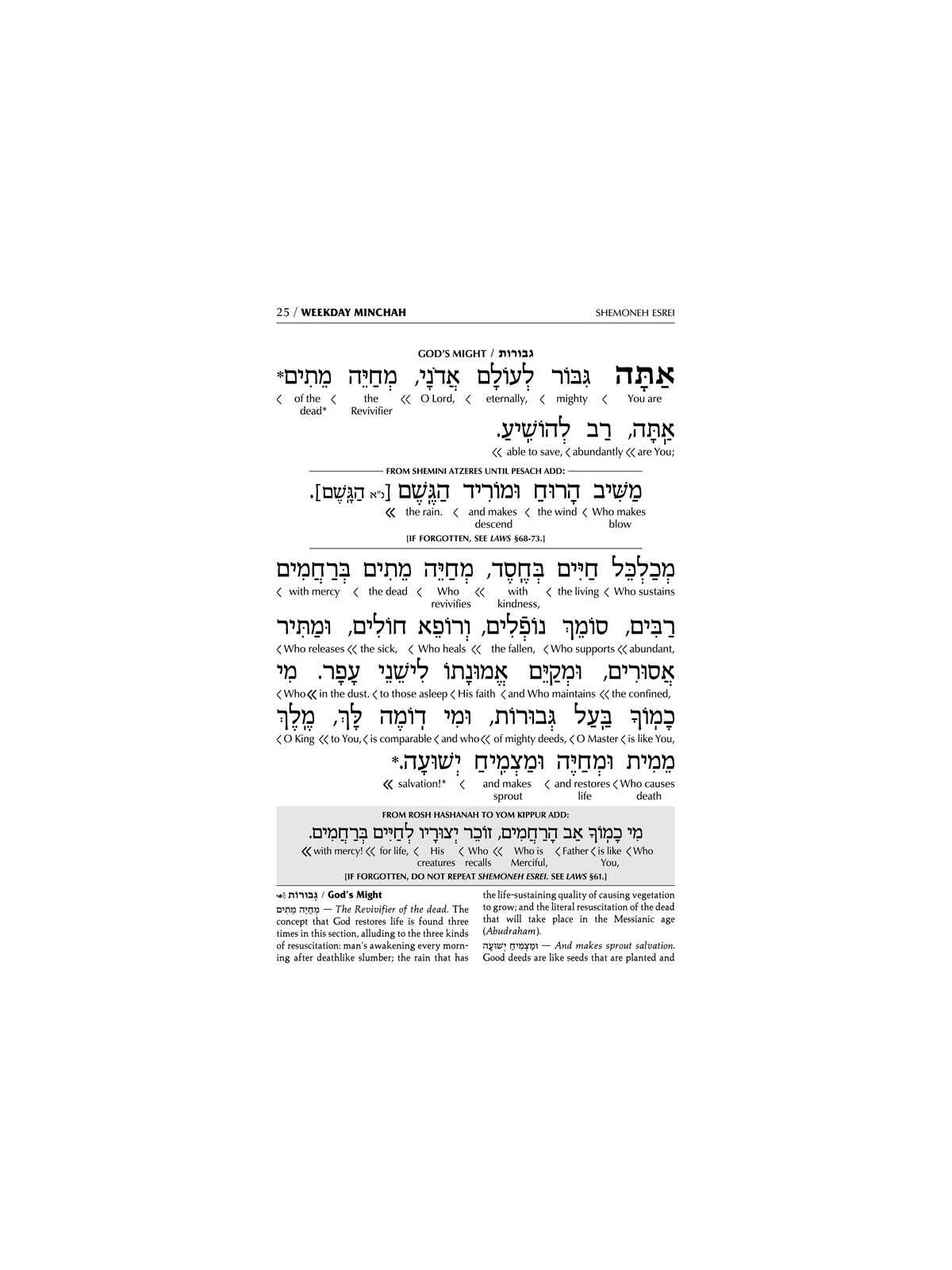 Interlinear Sabbath & Festivals Siddur Full Size A | Books | Judaica