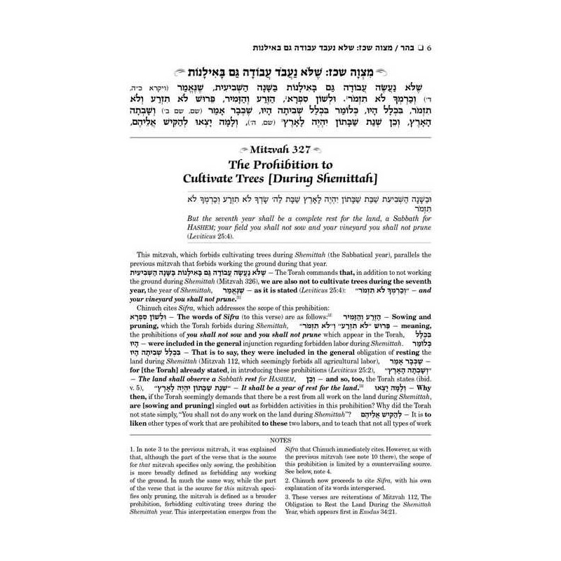 Schottenstein Edition Sefer Hachinuch / Book of Mi | Books | Judaica