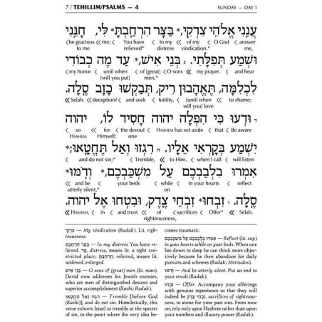 Schottenstein Interlinear Tehillim Full Size Yerus | Books | Judaica