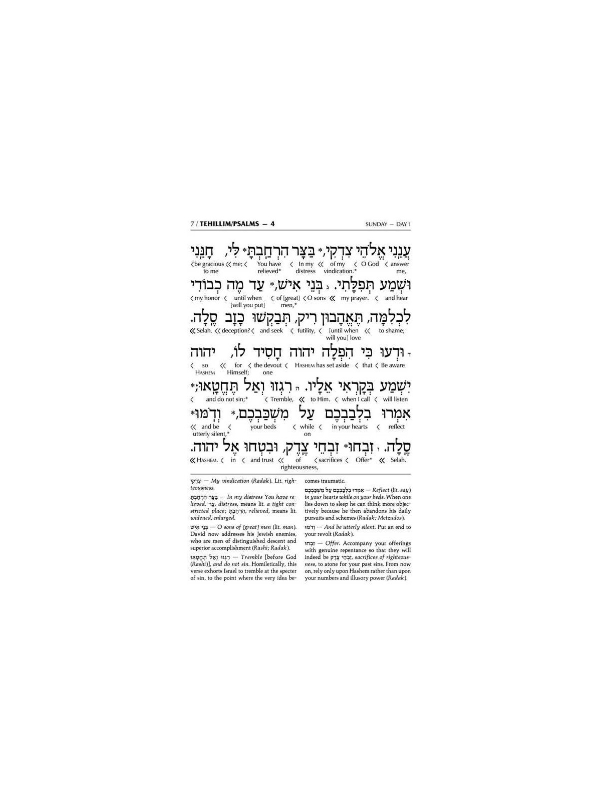 Schottenstein Interlinear Tehillim Full Size Yerus | Books | Judaica