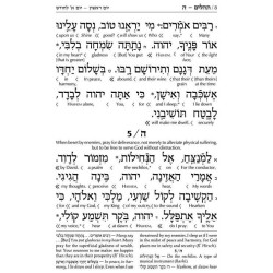 Schottenstein Interlinear Tehillim Full Size Yerus | Books | Judaica