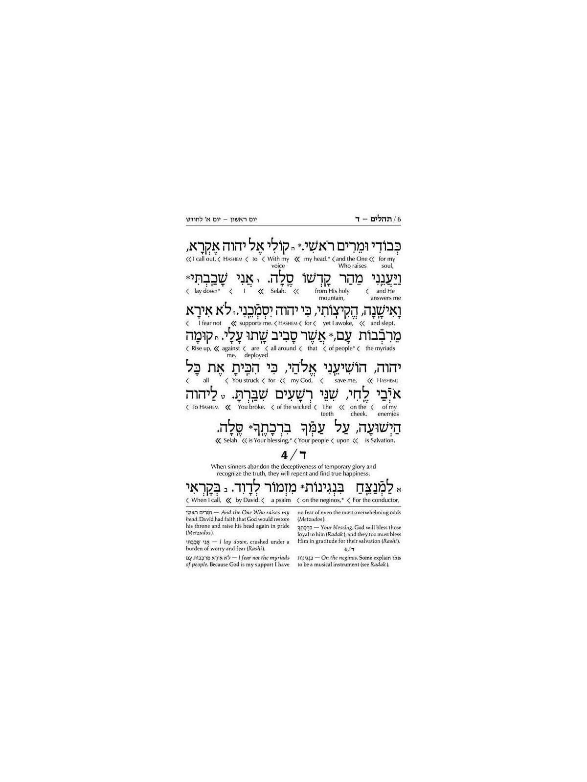 Schottenstein Interlinear Tehillim Full Size Yerus | Books | Judaica