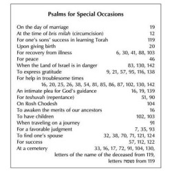 Schottenstein Interlinear Tehillim Full Size Yerus | Books | Judaica