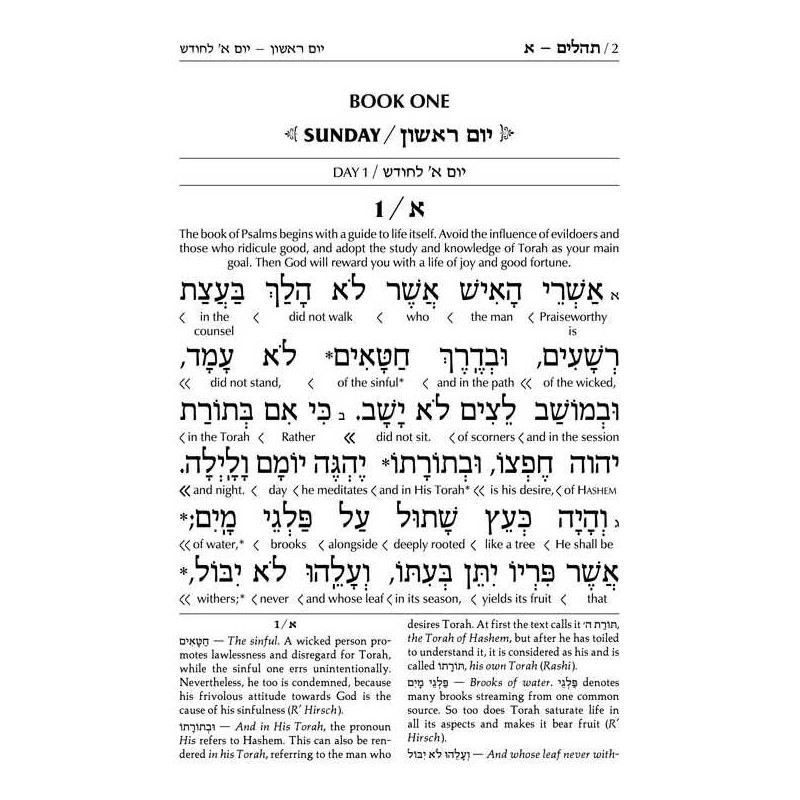 Schottenstein Interlinear Tehillim Full Size Yerus | Books | Judaica