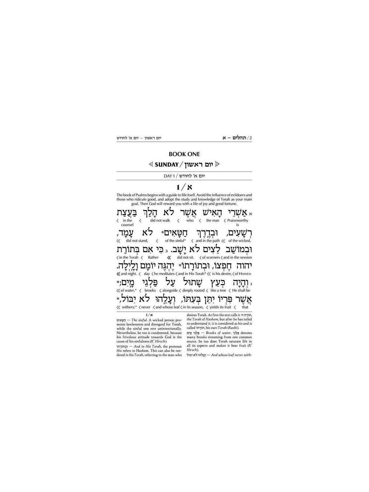 Schottenstein Interlinear Tehillim Full Size Yerus | Books | Judaica