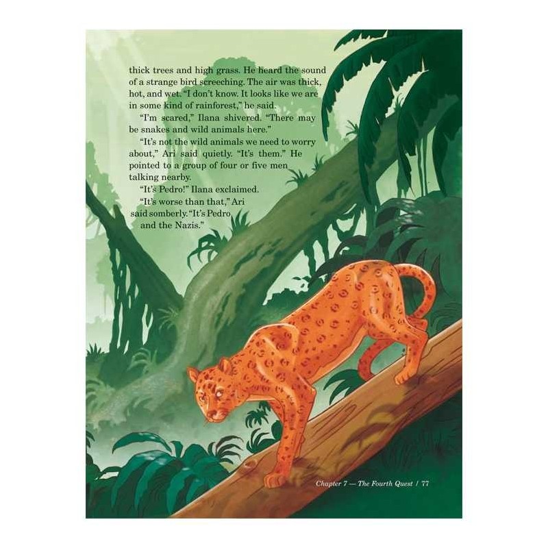 Search For the Stones | Books | Judaica