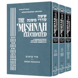 Schottenstein Edition Mishnah Elucidated Kodashim  | Books | Judaica