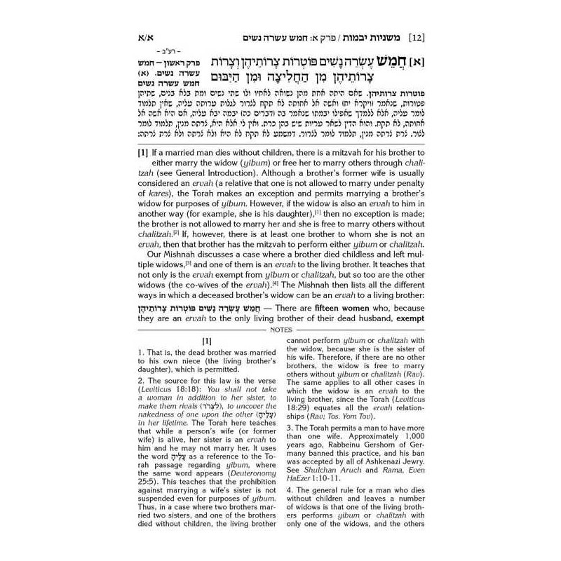 Schottenstein Edition Mishnah Elucidated Kodashim  | Books | Judaica