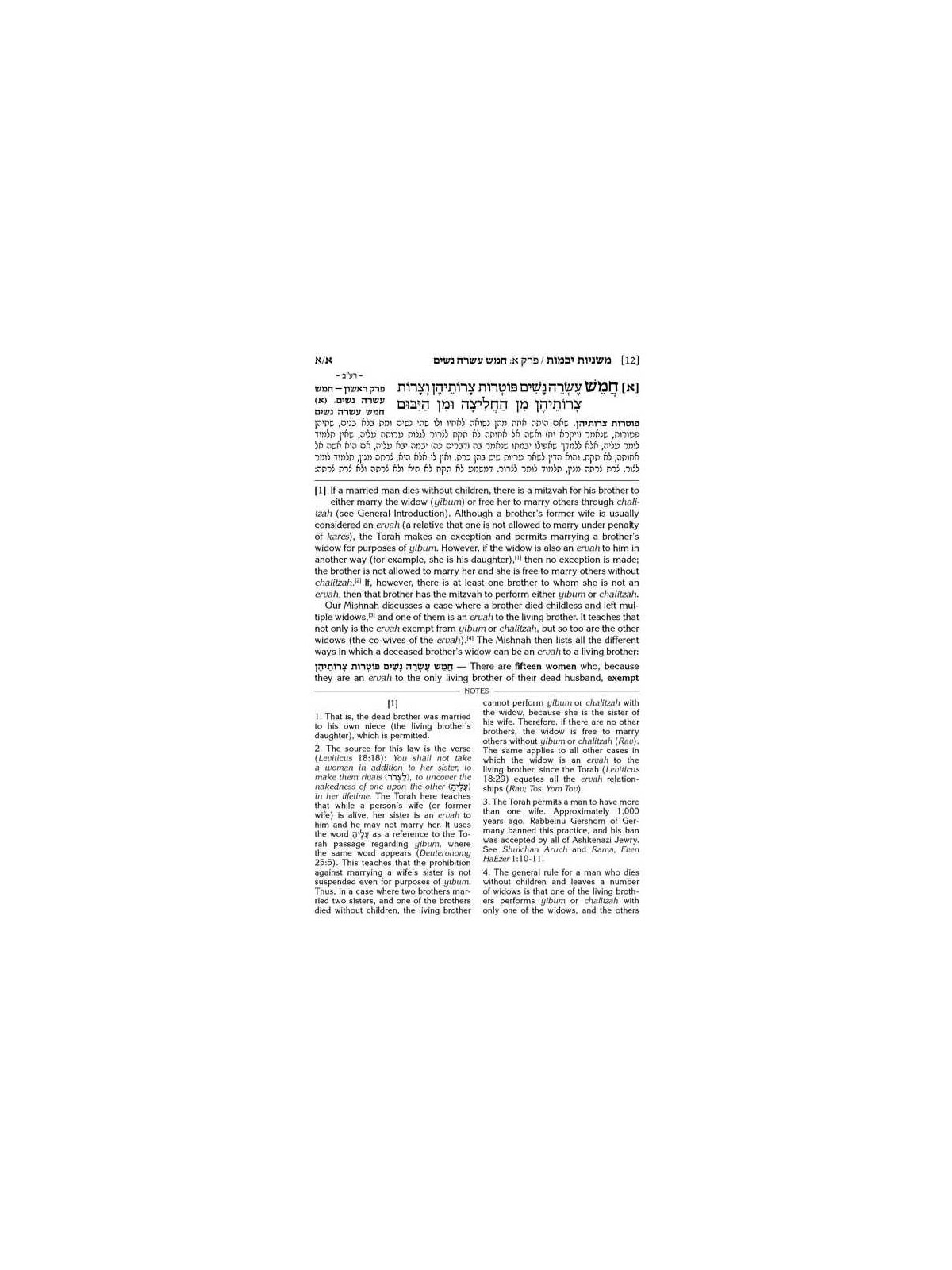 Schottenstein Edition Mishnah Elucidated Kodashim  | Books | Judaica